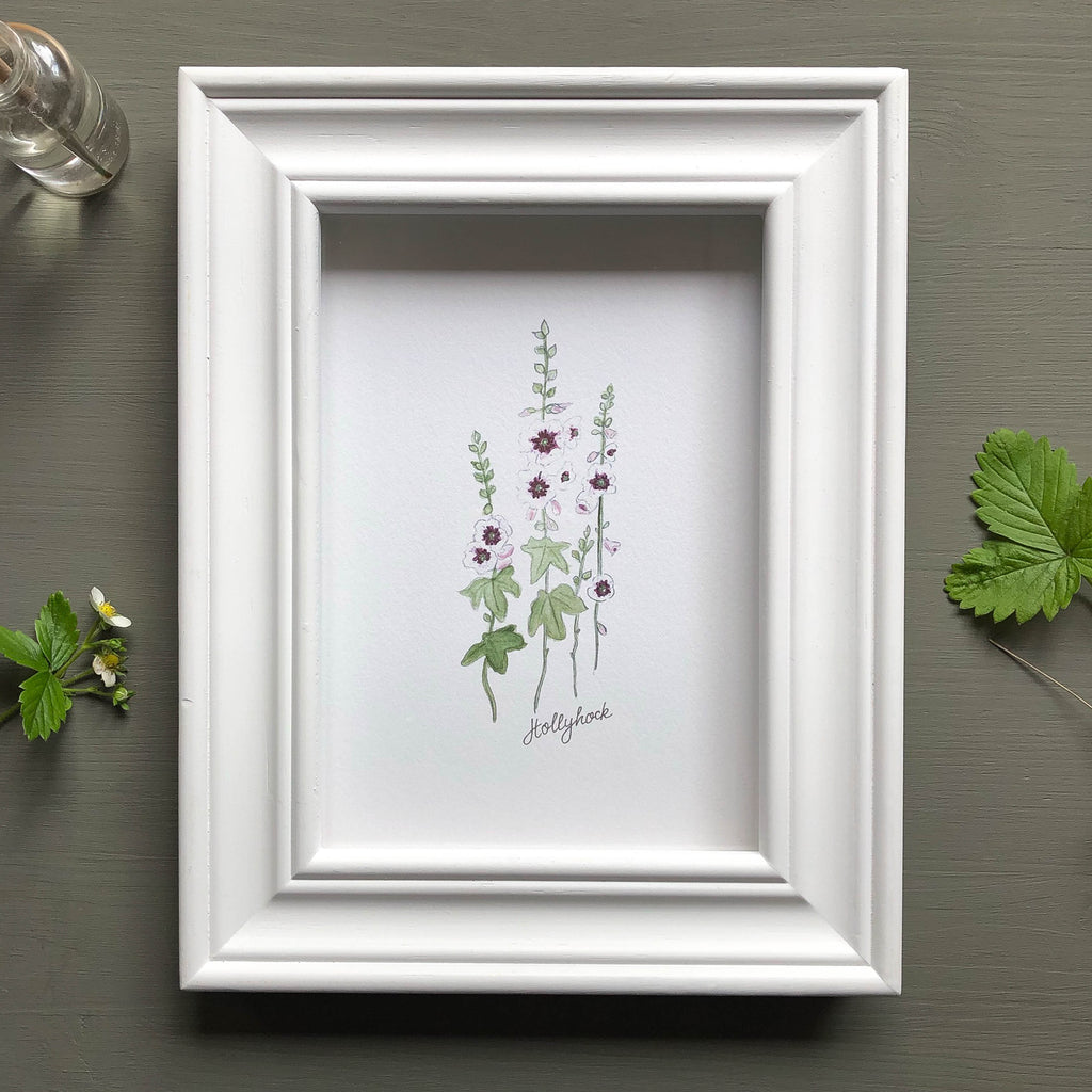 Hollyhock Botanical Print