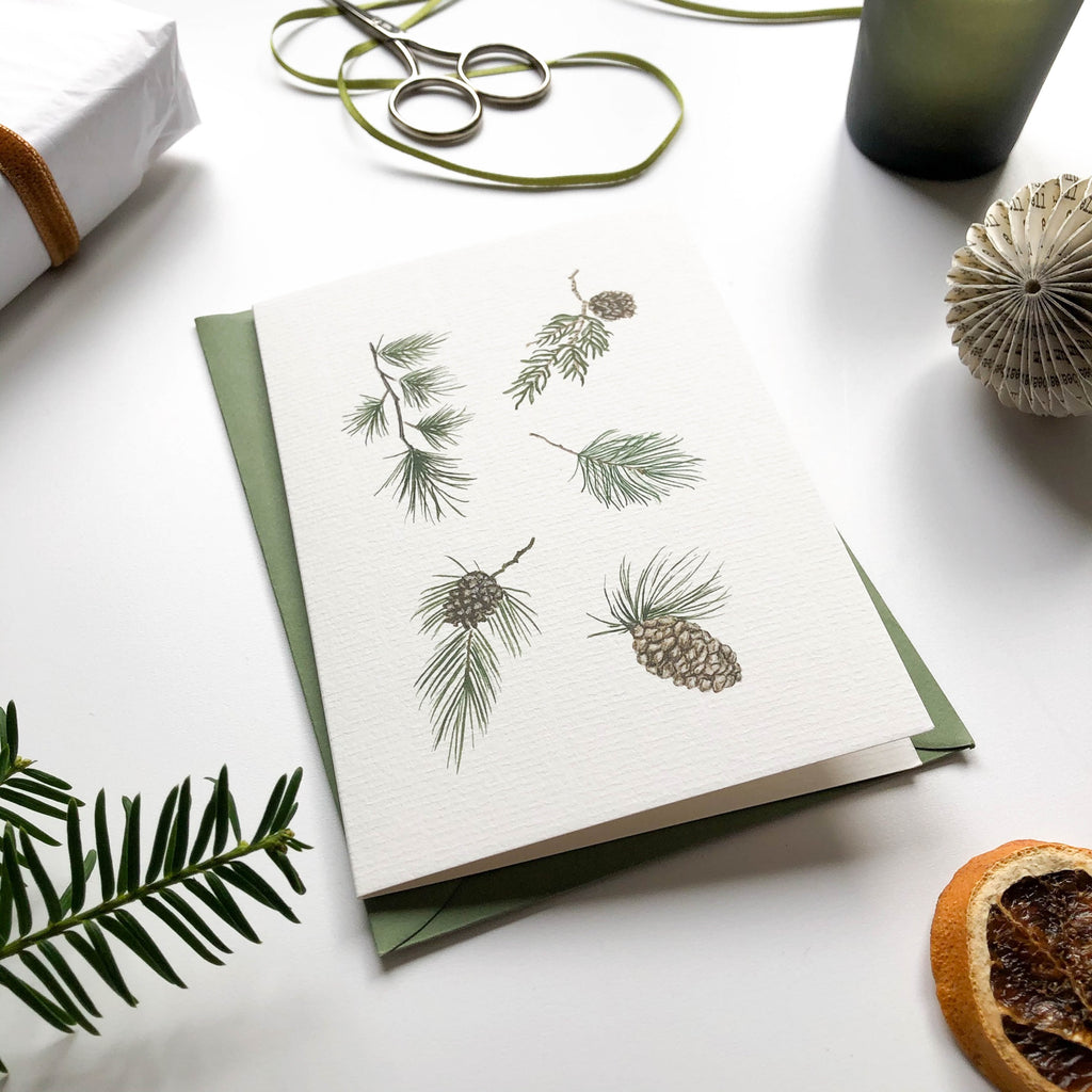 hand illustrated winter pine foliage & pine cones with green envelope close up